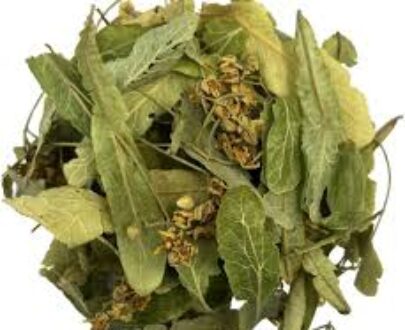 Linden Leaf Herb