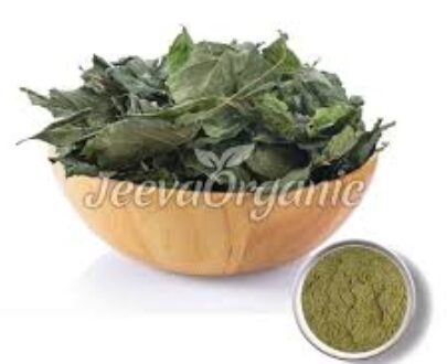 Linden Herb/Leaf Powder