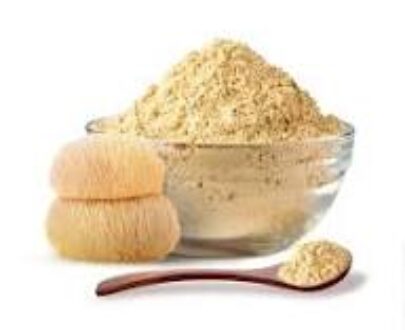 Lion’s Mane Mushroom Extract