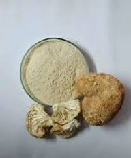 Lion’s Mane Mushroom Powder - Image 5