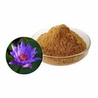 Lotus Petals Powder
