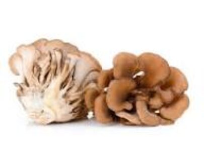 Maitake Mushroom