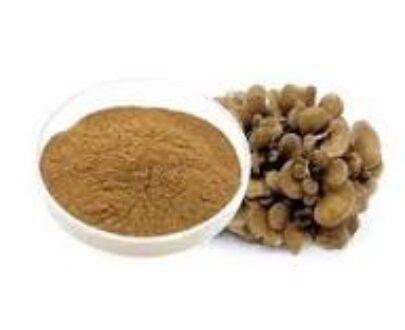 Maitake Mushroom Extract Powder