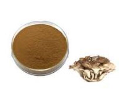 Maitake Mushroom Extract Powder