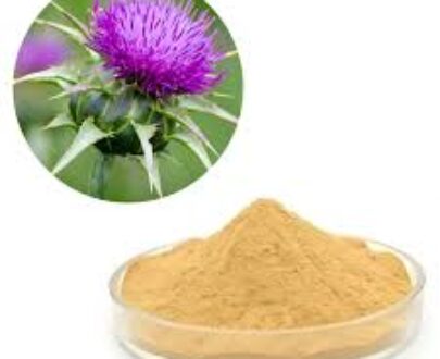 Milk Thistle Extract