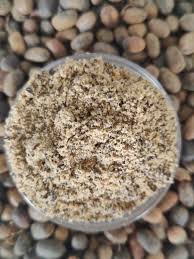 Miracle/Croton Seed Powder - Image 2