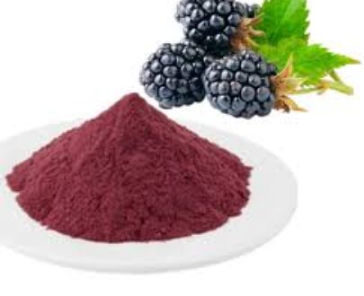 Mulberry Dry Fruit Powder
