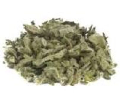 Mullein Leaf