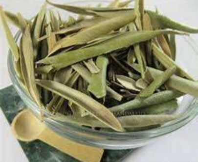 Olive Leaf