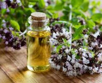 Oregano Essential Oil