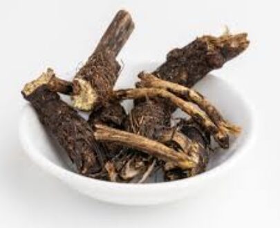 Osha Root