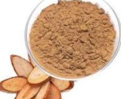 Osha Root Powder