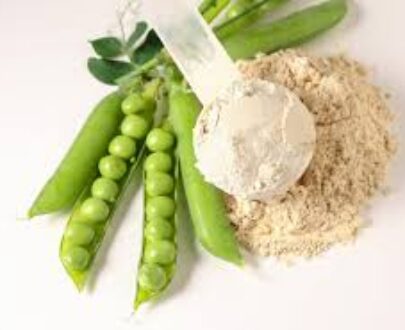 Pea Protein Powder