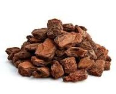 Pine Bark Root