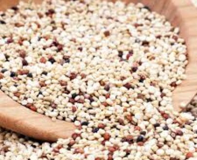 Quinoa Seed
