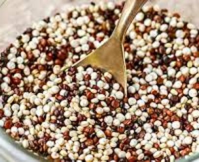 Quinoa Seed
