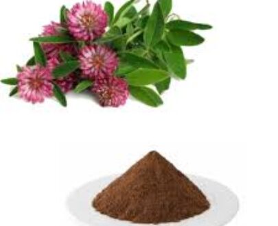 Red Clover Extract Powder