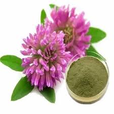 Red Clover Powder - Image 3