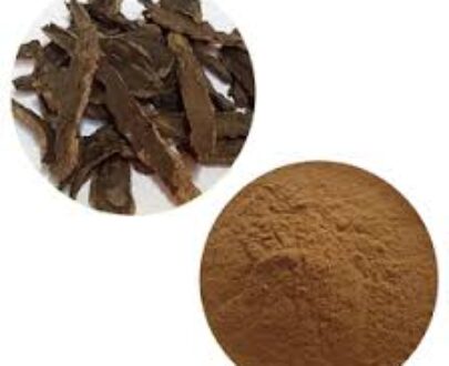 Rehmannia Herb Powder 