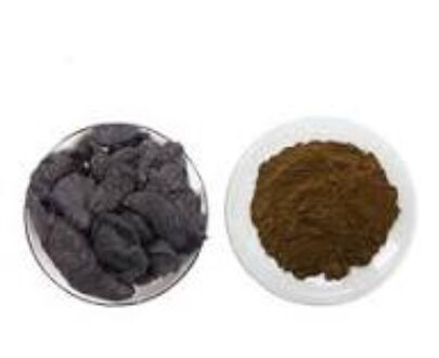 Rehmannia Herb Powder 
