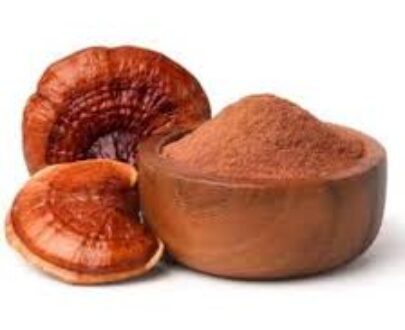 Reishi Mushroom Extract Powder