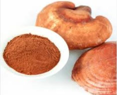 Reishi Mushroom Powder