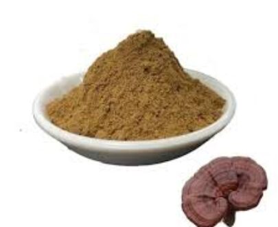 Reishi Mushroom Powder