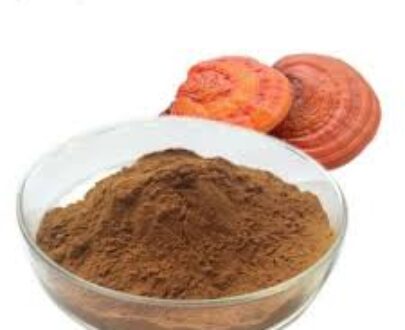 Reishi Mushroom Extract Powder