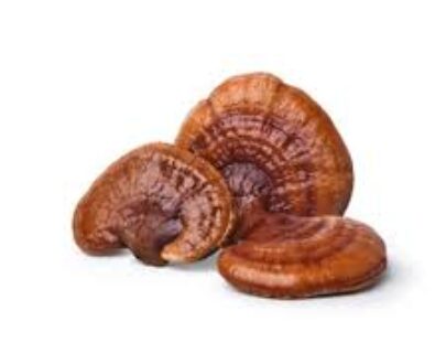 Reishi Mushroom Whole