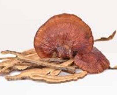 Reishi Mushroom Whole