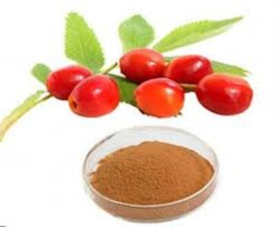 Rosehip Powder