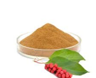 Schizandra Berries Powder