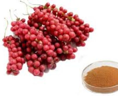 Schizandra Berries Powder