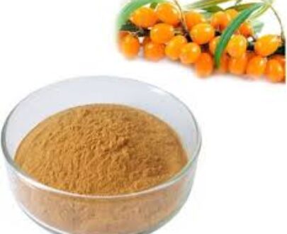 Sea Buckthorn Extract Powder