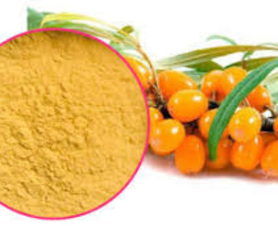 Sea Buckthorn Berry Powder