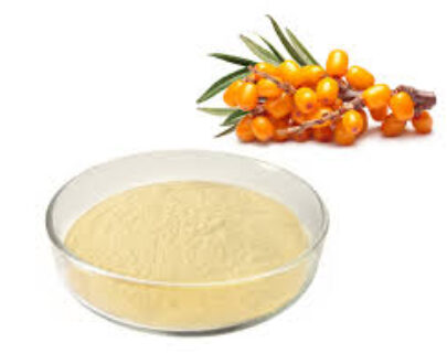 Sea Buckthorn Berry Powder