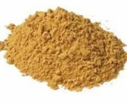 Sea Buckthorn Extract Powder