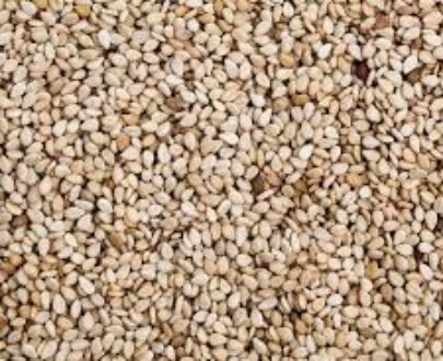 Sesame Seed (Nigeria)