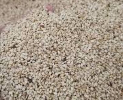 Sesame Seed (Nigeria)