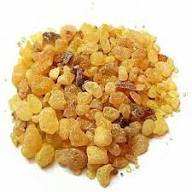 Shallaki/Boswellia Root Extract Powder - Image 2