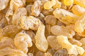 Shallaki/Boswellia Root Extract Powder - Image 4