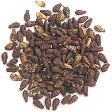 Shivlingi Seeds - Image 3