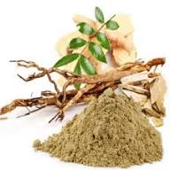 Tongkat Ali Root Powder - Image 4
