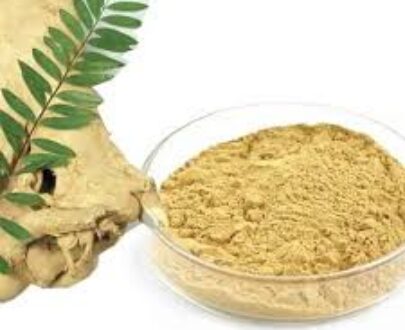 Tongkat Ali Root Powder