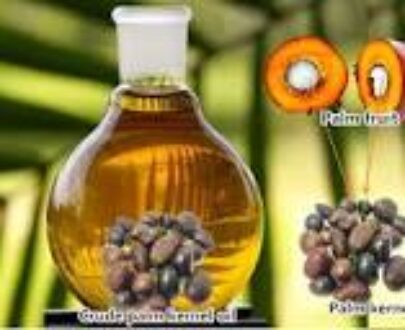 Palm Kernel Oil Cold Press