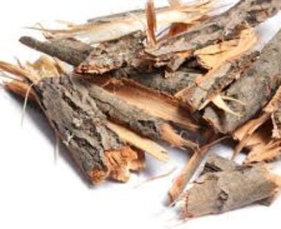 Willow Bark