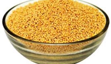 Yellow Mustard Seed