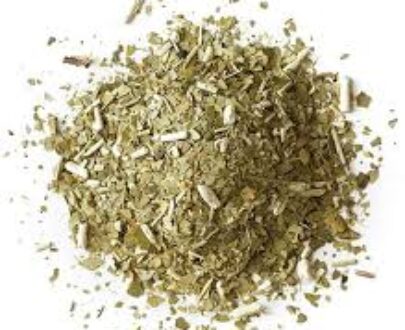 Yerba Mate Herb
