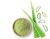Aloe Vera Powder