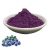Blueberry Fruit Powder